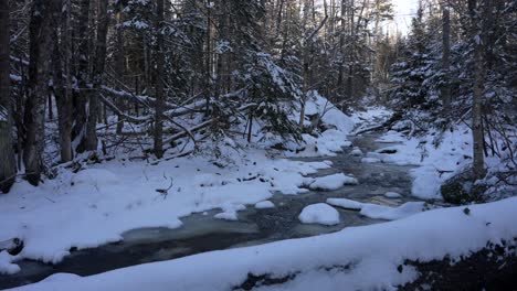 Snow-covered-forest-understory-by-icy-stream-as-sunlight-retreats-across-forest