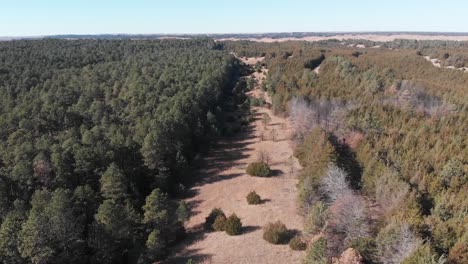 Drone-shot-as-it-flies-over-an-open-clearing-among-the-treetops-of-a-coniferous-forest-on-a-sunny-day-in-Nebraska