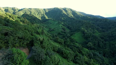 Grüne-Waldbäume-Auf-Einem-Berg-Auf-Der-Insel-Guadeloupe-In-Frankreich