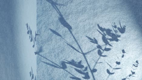 Plant-leaf-shadow-on-blue-corner-wall-gently-move-from-breeze-wind-animation