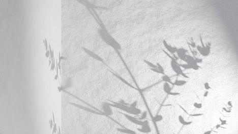 Plant-leaf-shadow-on-grey-corner-wall-gently-move-from-breeze-wind-rendering-animation