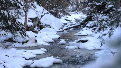 Wasser-Plätschert-Ruhig-Den-Eisigen-Bach-Hinunter,-Der-Mit-Schnee-Und-Bäumen-Bedeckt-Ist