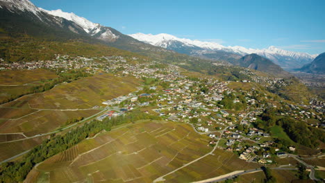 Viñedos-En-Colores-Otoñales-En-El-Pueblo-De-Saviese-En-Sion,-Valais,-Suiza