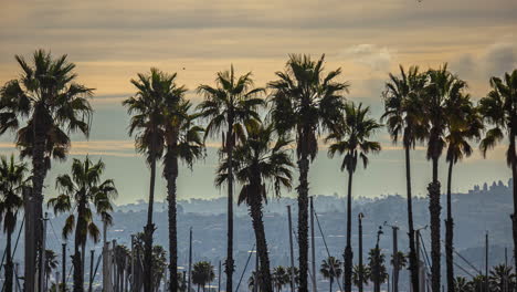 Manhattan-Beach-city-through-the-palm-trees-during-a-sunset-time-lapse