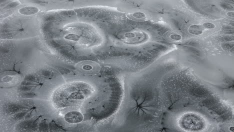 Kamloops-Winter-Magic:-Enigmatic-Ice-Circles-on-Frozen-McQueen