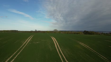 Drone-recording,-where-the-drone-flies-over-green-grass-fields