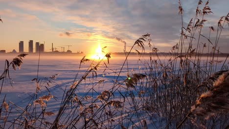Magical-sunset-winter-landscape,-golden-hour
