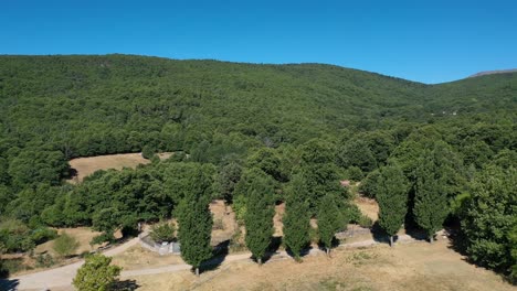 rewind-climb-flight-with-a-drone-visualizing-in-the-foreground-some-poplar-trees-in-a-meadow-with-a-path-behind,-discovering-a-lush-chestnut-forest-on-a-sunny-day-with-a-blue-sky-in-Avila-Spain