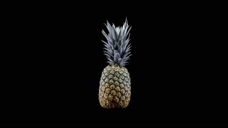 Full-pineapple-fruit-with-crown-spins-quickly-on-black-background