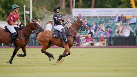 Two-polo-players-on-chestnut-horses-chase-the-ball,-one-hits-it-at-full-canter