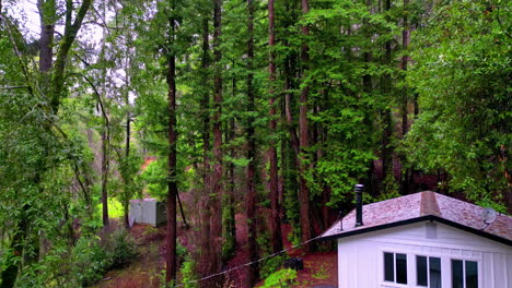 Weißes-Holzhaus-Im-Magischen-Muir-Wald,-Luftaufnahme