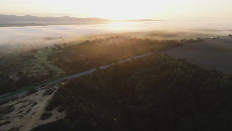 Ein-Blick-Auf-Den-Sonnenaufgang-über-Dem-Nebligen-Wald-In-Portugal