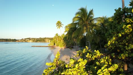 Playa-Caravelle-En-Sainte-Anne,-Guadalupe,-Antillas-Francesas