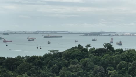 Cable-Cars-and-Freight-Ships-in-the-Distance-Beyond-a-Treeline-in-Singapore---Aerial-Drone-Shot