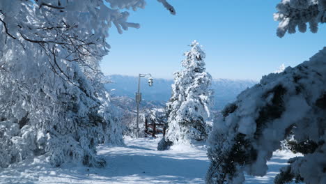 Pinos-Nevados-De-La-Montaña-Balwangsan-En-La-Estación-De-Esquí-Monapark-Yong-Pyong,-Gangwon-do---POV-Para-Caminar-En-Cámara-Lenta