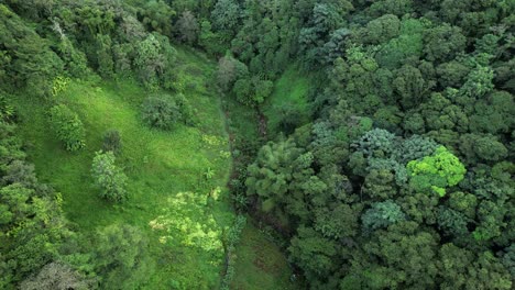 Rural-house-in-Guadeloupe-forest.-Aerial-top-down-backward