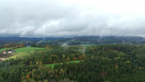 Autumn-Forest-With-Fog-In-Early-Morning---Aerial-Panoramic