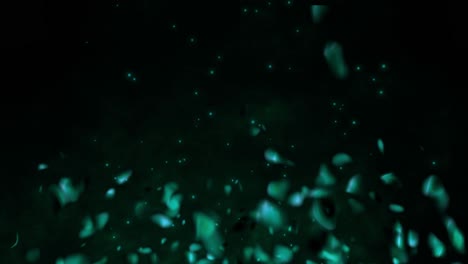 Realistic-fire-gas-with-hot-fiery-embers-sparks-flames-3D-animation-particle-glow-burning-on-black-background-vfx-teal