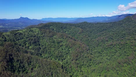 Scenery-Of-Green-Rainforest-In-Currumbin-Valley,-Gold-Coast,-Queensland,-Australia---Aerial-Drone-Shot