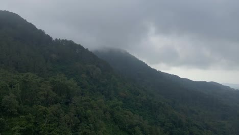 Aerial-view-of-rainforest-on-the-mountain-slope-in-foggy-morning