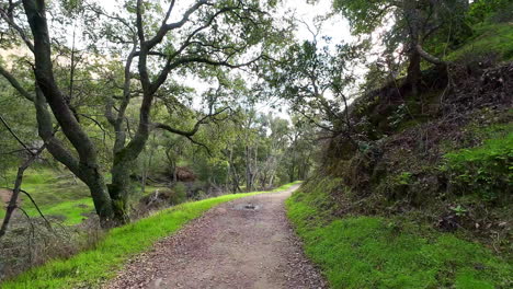 Dirt-pathway-in-remote-location-of-California-forest,-dolly-forward