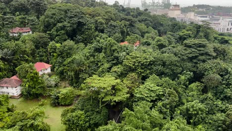 Gently-Gliding-Above-the-Treeline-of-Mount-Faber-in-Singapore-Aboard-a-Cable-Car---POV