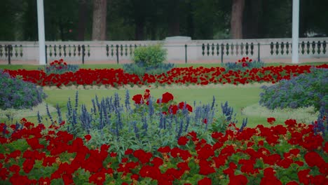 Colorful-flower-beds-outside-of-Buckingham-Palace-in-London