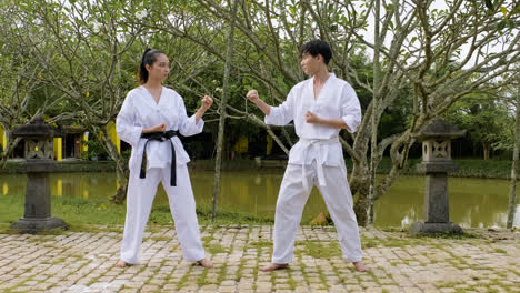 Couple-practising-martial-arts-together