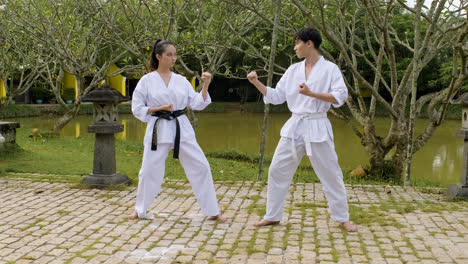 Couple-practising-martial-arts-together