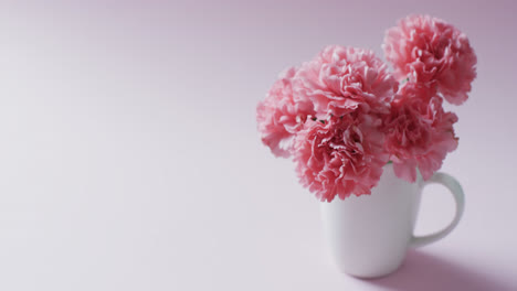 Video-Eines-Straußes-Rosa-Blumen-In-Einer-Weißen-Tasse-Und-Kopierraum-Auf-Rosa-Hintergrund