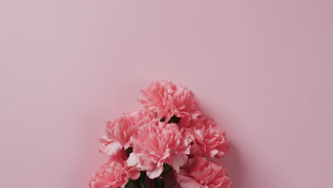 Video-Eines-Straußes-Rosa-Blumen-Und-Kopierraum-Auf-Rosa-Hintergrund