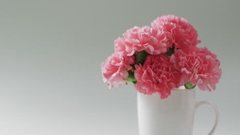Video-of-bunch-of-pink-flowers-in-white-mug-and-copy-space-on-white-background