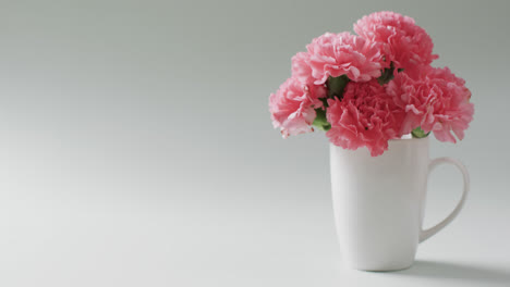 Video-of-bunch-of-pink-flowers-in-white-mug-and-copy-space-on-white-background