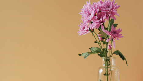 Video-Von-Rosa-Blumen-In-Einer-Glasvase-Mit-Kopierraum-Auf-Gelbem-Hintergrund