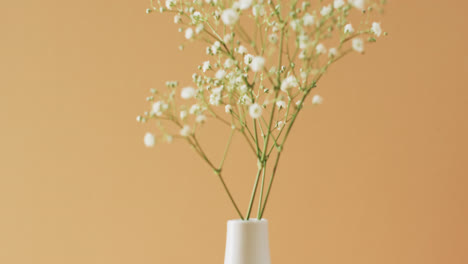 Video-of-white-flowers-in-white-vase-with-copy-space-on-yellow-background
