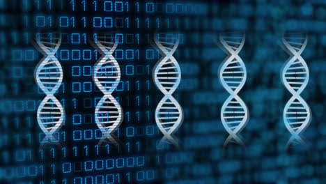 Animation-Rotierender-DNA-Helixe-Mit-Sich-Wiederholenden-Binärcodes-Auf-Schwarzem-Hintergrund