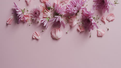 Video-Von-Rosa-Blumen-Und-Blütenblättern-Mit-Kopierraum-Auf-Rosa-Hintergrund