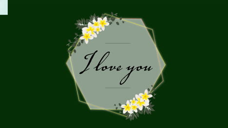 Animation-of-i-love-you-text-with-flowers-in-hexagon-shape-on-green-background