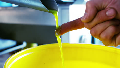 Technician-examining-olive-oil-produced-from-machine