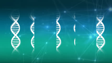 DNA-Strang-Mit-Einem-Netzwerk-Aus-Verbundenen-Linien-Und-Punkten