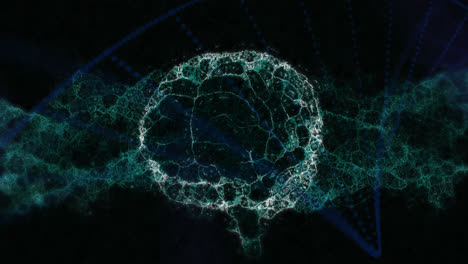 Digitale-Animation-Des-Menschlichen-Gehirns-Und-Der-DNA-Struktur,-Die-Sich-Vor-Blauem-Hintergrund-Dreht