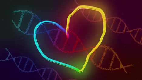 Glowing-rainbow-coloured-heart-outline-over-dna-strands-on-a-dark-background