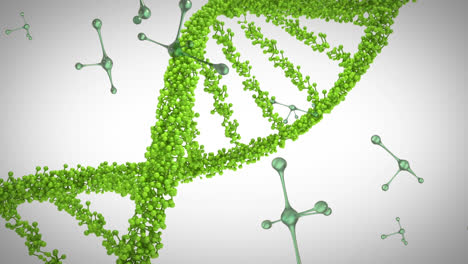 Bewegen-Von-3D-DNA-Strängen-Und-Molekülen