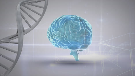 Digitales-Komposit-Des-Genetischen-Codes-Eines-Gehirns