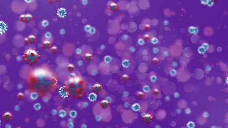 Animation-Mehrerer-Covid-19-Zellen,-Die-Auf-Violettem-Hintergrund-Schweben