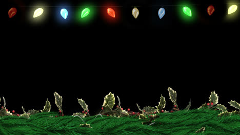 Weihnachtsstechpalmenkranz-Mit-Lichtern