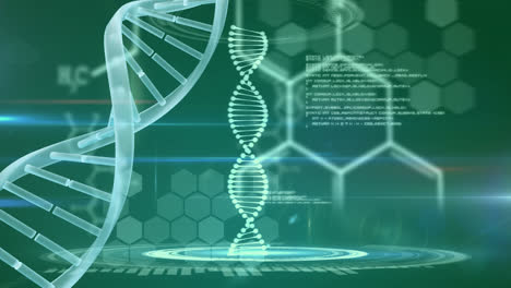 Animation-Von-DNA-Strängen,-Medizinischer-Datenverarbeitung-Und-Chemischen-Formeln-Auf-Grünem-Hintergrund