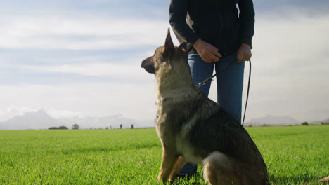 Shepherd-dog-standing-with-his-owner-in-the-farm-4k