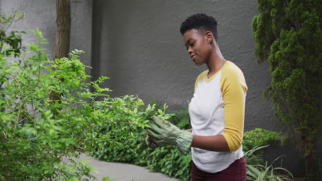 Afroamerikanische-Frau-Trägt-Gartenhandschuhe-Und-Schneidet-Blätter-Von-Pflanzen-Im-Garten