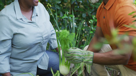 African-american-senior-couple-wearing-hand-gloves-gardening-together-in-the-garden